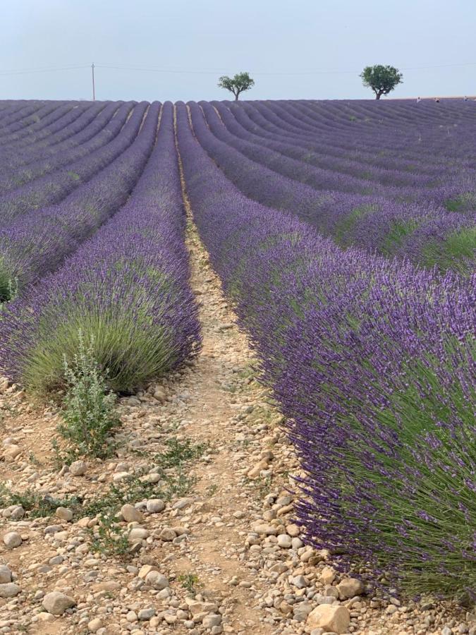 Studio Nuitee En Provence 2 Éguilles Eksteriør billede